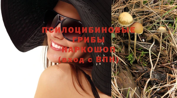 прущие грибы Дмитровск