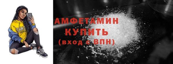 прущие грибы Дмитровск