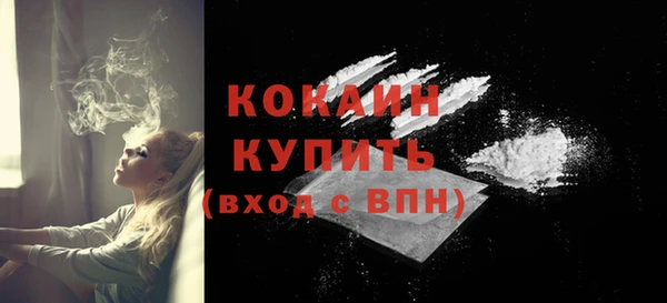 прущие грибы Дмитровск