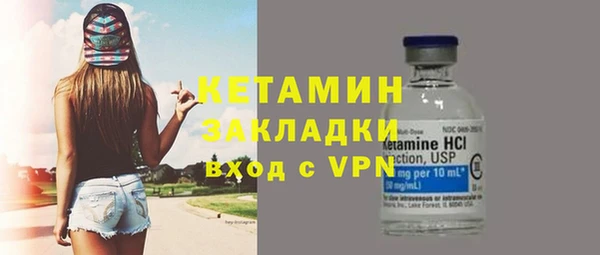 прущие грибы Дмитровск