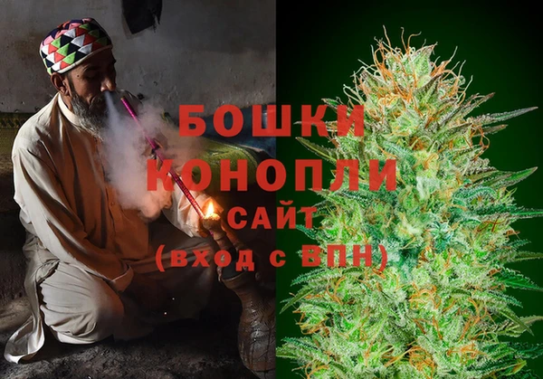 бошки Дмитров