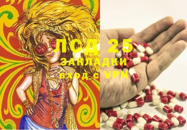 бошки Дмитриев