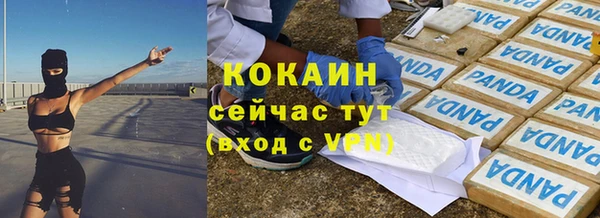 бошки Дмитров