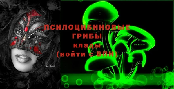 бошки Дмитров