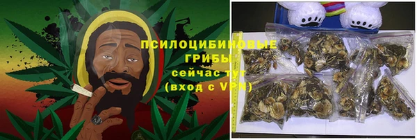 прущие грибы Дмитровск