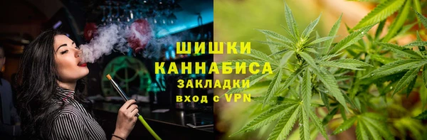 прущие грибы Дмитровск