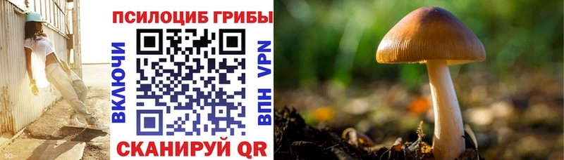 Галлюциногенные грибы ЛСД  Купить  Арамиль 